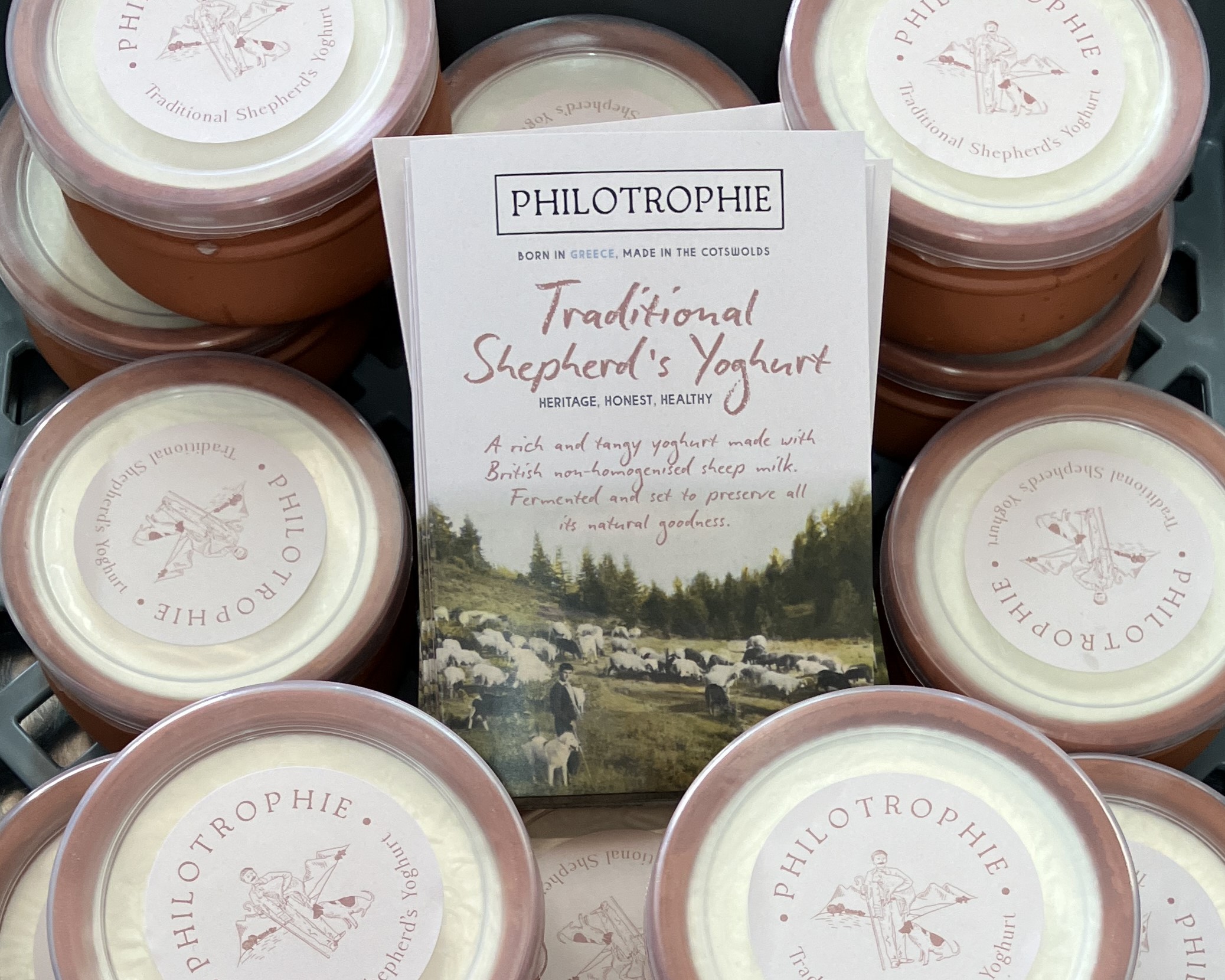 terracotta yoghurt pots with custom labels